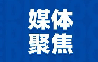 媒體聚焦 | “地瓜經(jīng)濟(jì)”為什么能贏？海亮股份是這樣做的