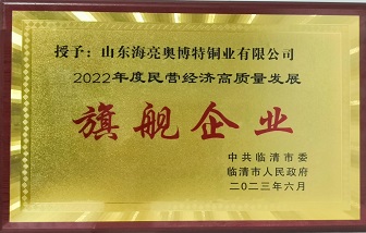 牛！山東海亮榮獲“2022年度民營(yíng)經(jīng)濟(jì)高質(zhì)量發(fā)展旗艦企業(yè)”稱號(hào)